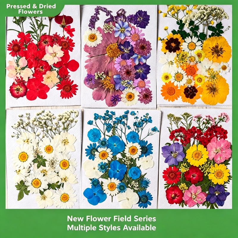 35Pcs10 Set of Dried Flowers a - Scented Candle Set avaliação e preço