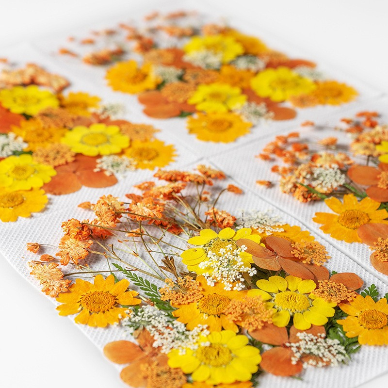 35Pcs10 Set of Dried Flowers a - Scented Candle Set avaliação e preço