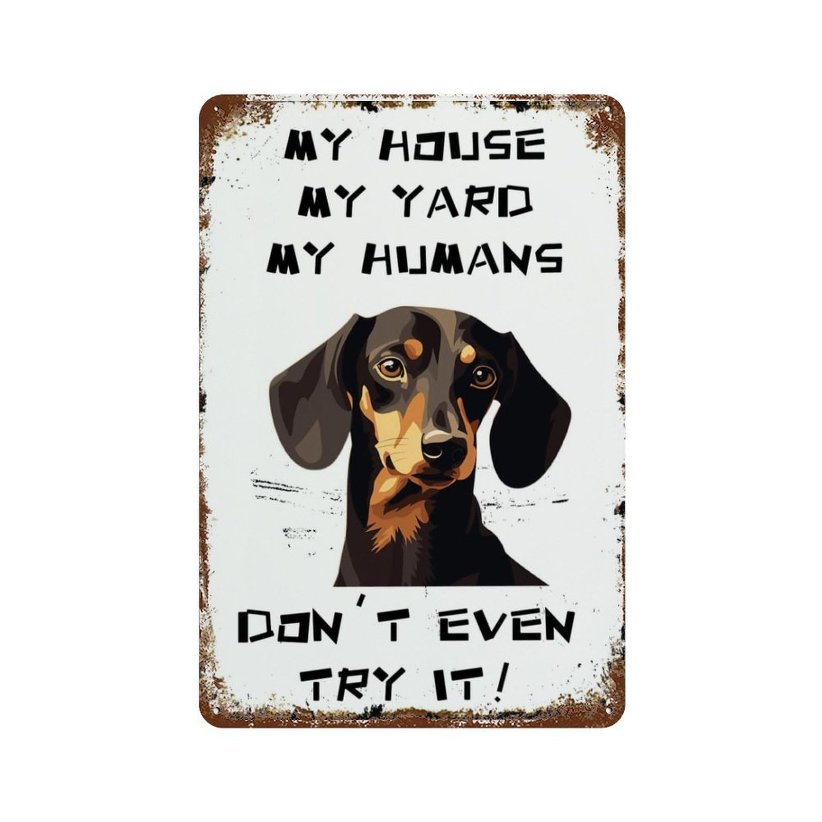Vintage Tin Sign Dachshund My  - Home Decor Nearby avaliação e preço