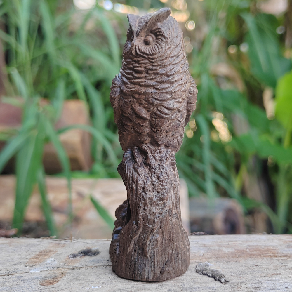 Owl Wood Carving Statue Orname - Home Decor Minimalist Style avaliação e preço